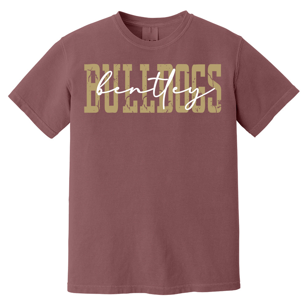 Favorite Team Shirt, Team Mascot Tshirt, School Team Comfort Colors Tee, Love Favorite Team Tee, School logo Tee, Custom Shirt, Custom Gift