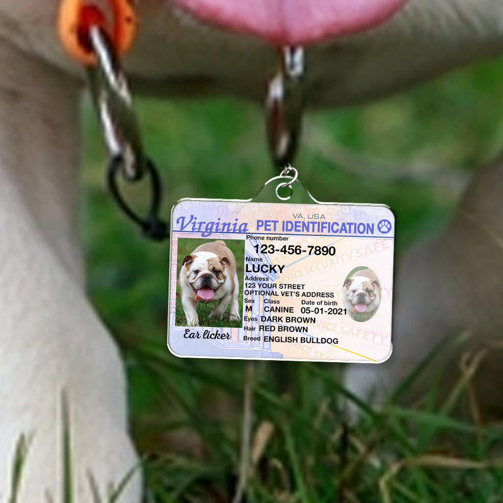 Custom Photo Pet ID Tags - Drivers License - Virginia