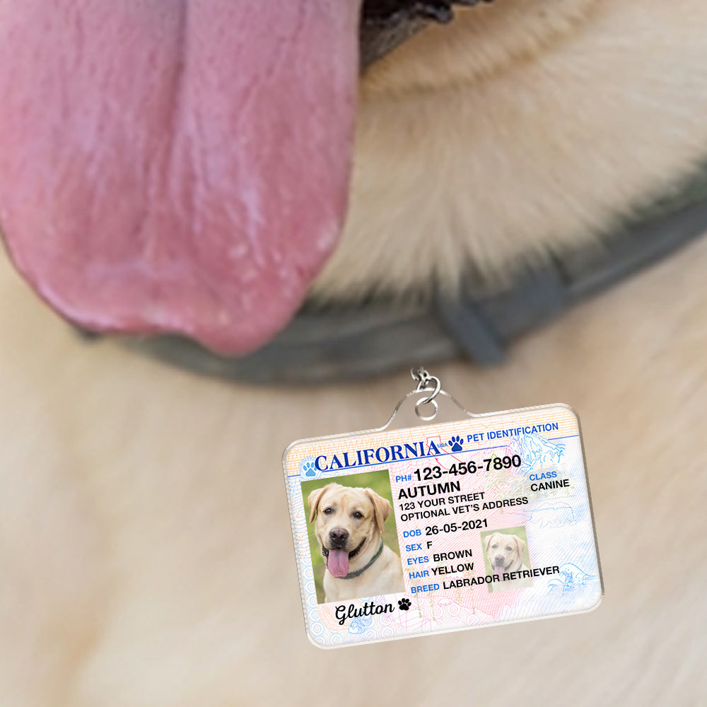 Custom Photo Pet ID Tags - Drivers License - California