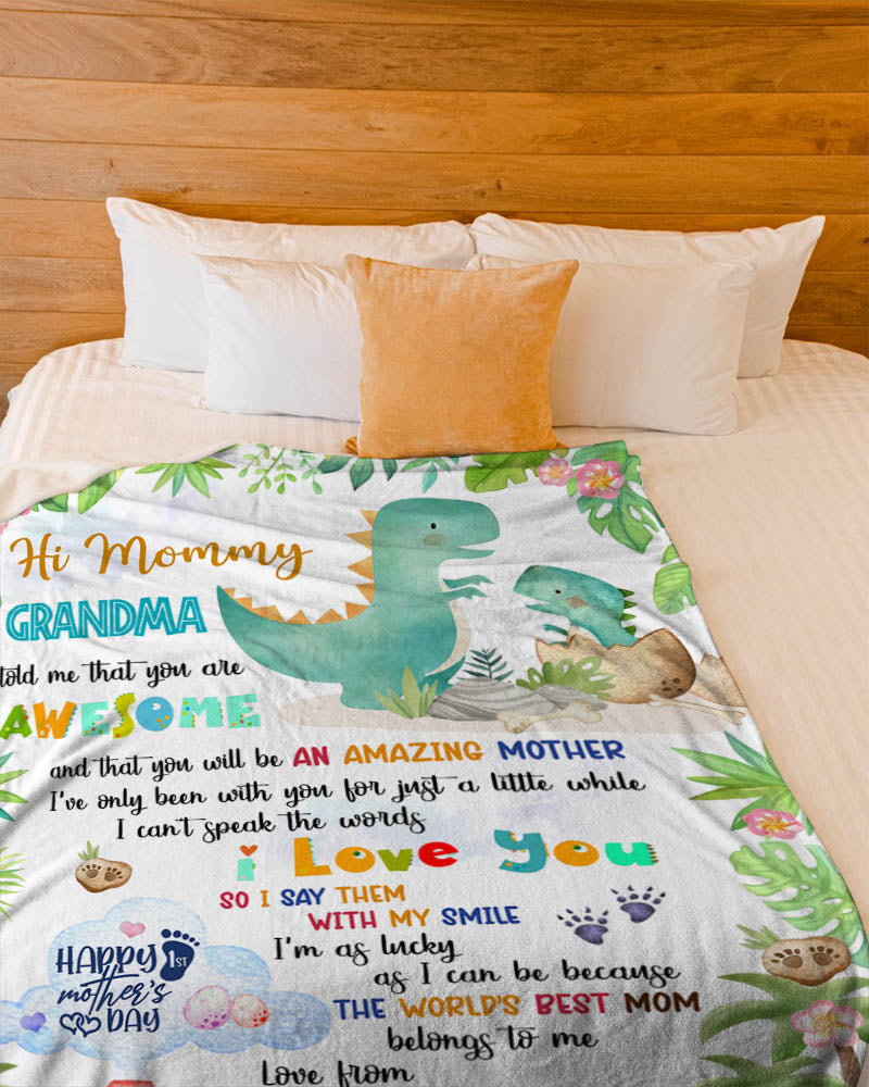 Personalized Hi Mommy Grandma Told Me That You Are Awesome Blanket, Happy 1st Mother's Day Cute Dinosaur Blanket