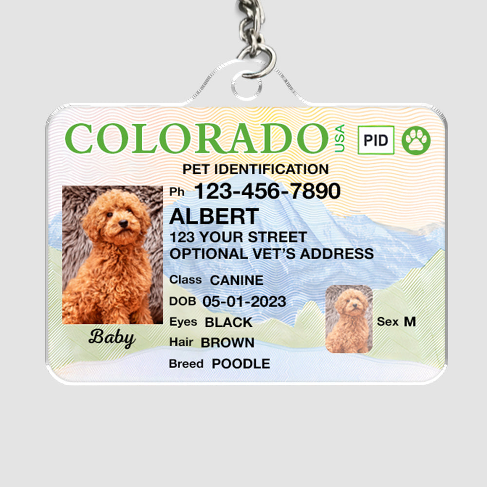 Custom Photo Pet ID Tags - Drivers License - Colorado