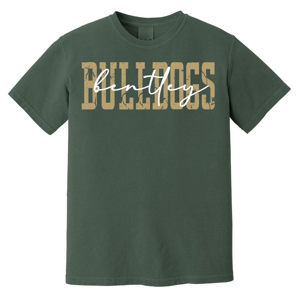 Favorite Team Shirt, Team Mascot Tshirt, School Team Comfort Colors Tee, Love Favorite Team Tee, School logo Tee, Custom Shirt, Custom Gift