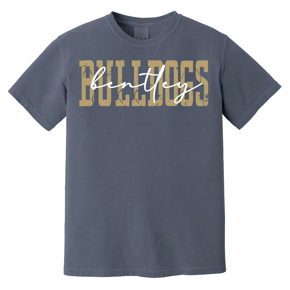 Favorite Team Shirt, Team Mascot Tshirt, School Team Comfort Colors Tee, Love Favorite Team Tee, School logo Tee, Custom Shirt, Custom Gift