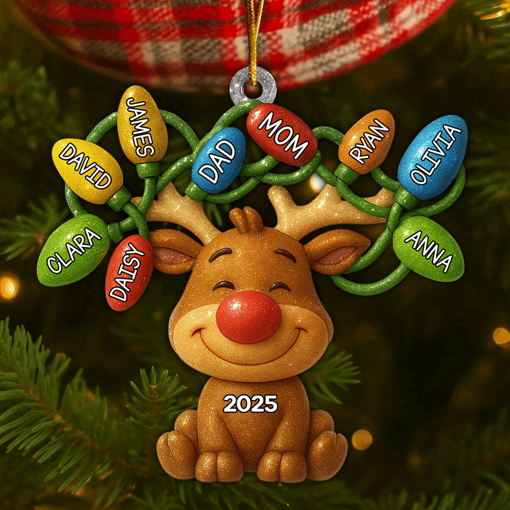 Custom Acrylic Ornament - Personalized Christmas Birthday Gifts For Mom, Dad, Kids - Our Reindeer Crew Li29