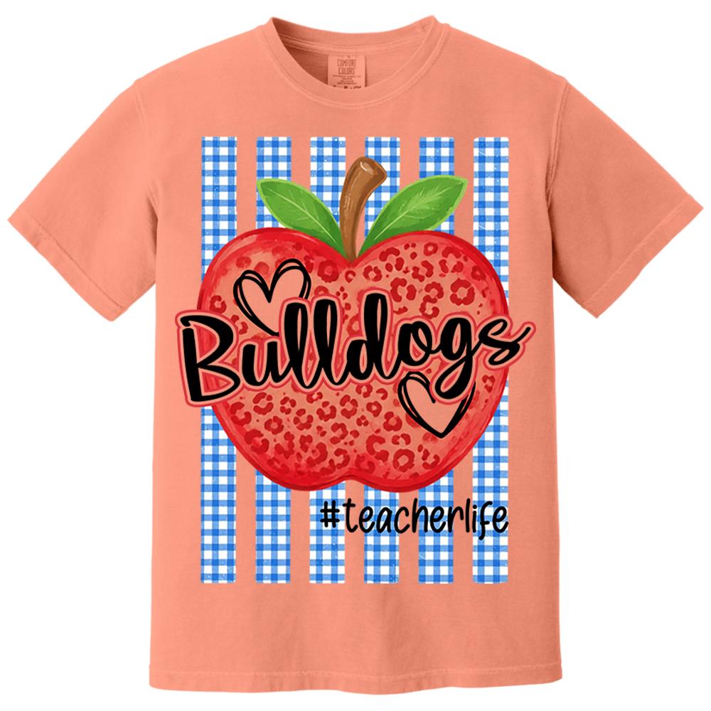 Personalized School Striped Mascot Apple Blue Gingham Stripes T-shirt For Teacher Nh00