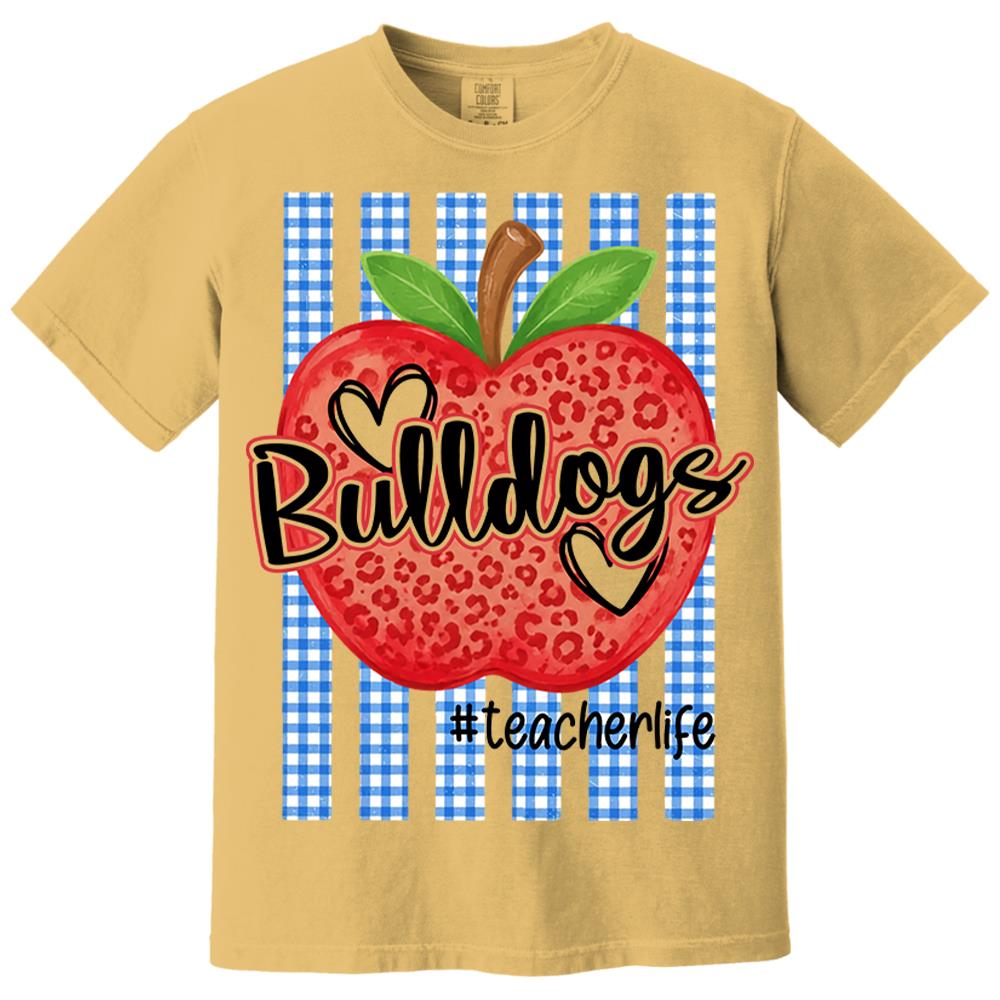 Personalized School Striped Mascot Apple Blue Gingham Stripes T-shirt For Teacher Nh00