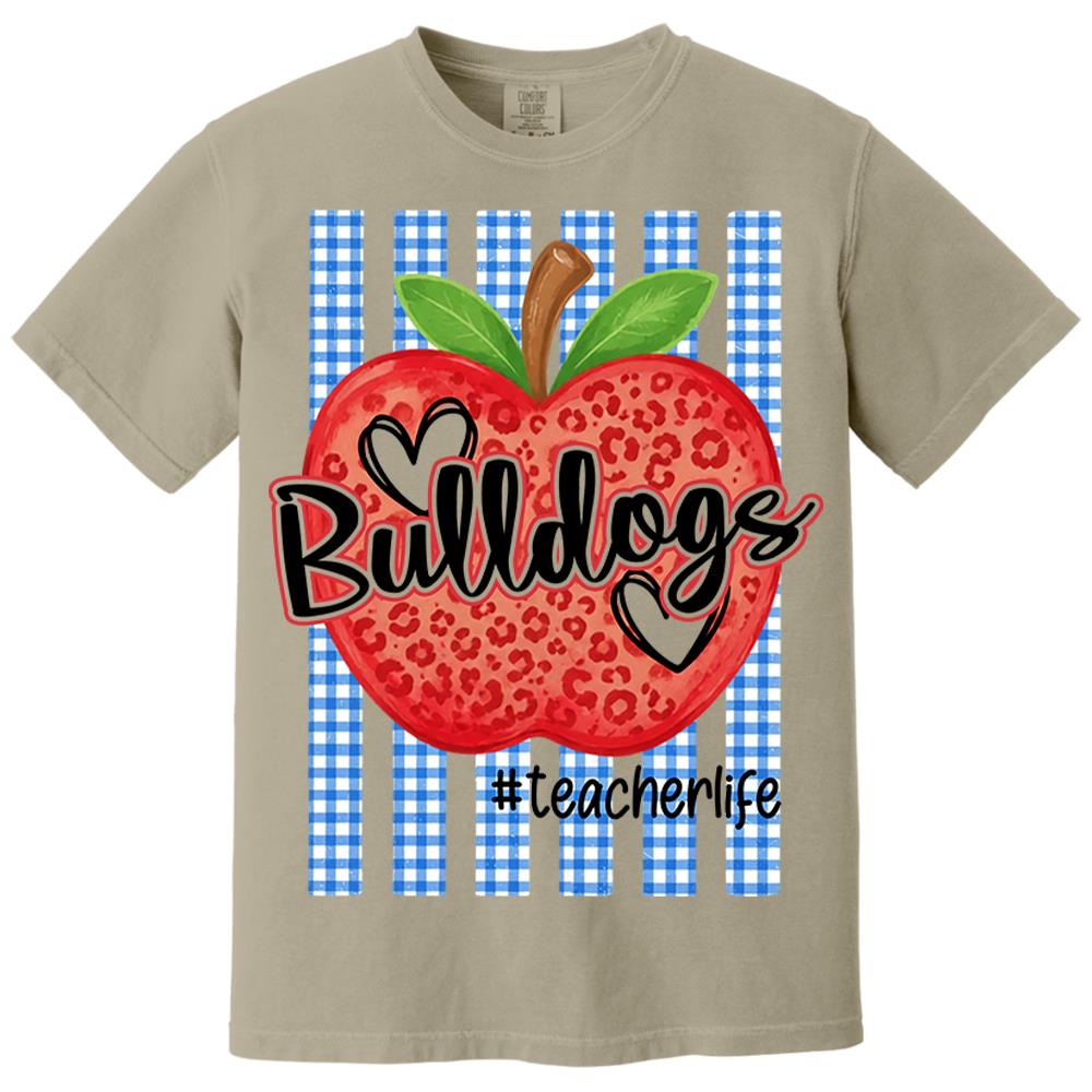 Personalized School Striped Mascot Apple Blue Gingham Stripes T-shirt For Teacher Nh00