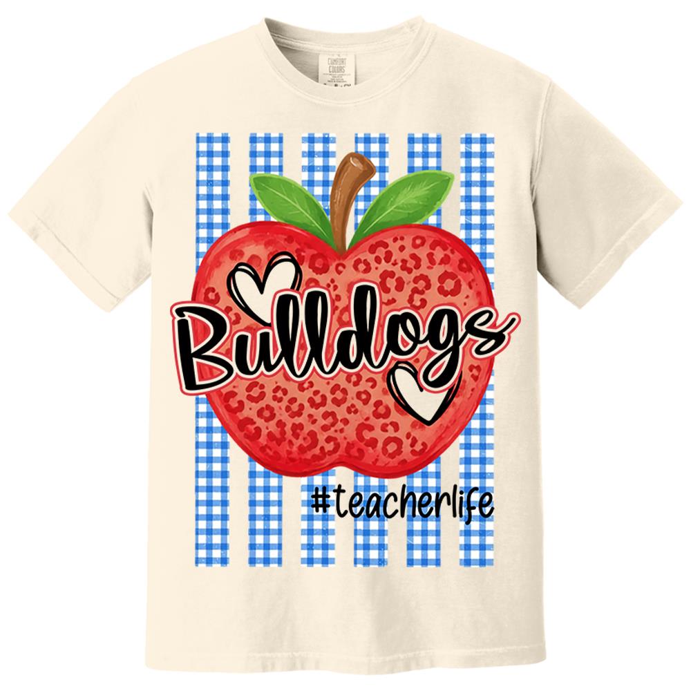 Personalized School Striped Mascot Apple Blue Gingham Stripes T-shirt For Teacher Nh00