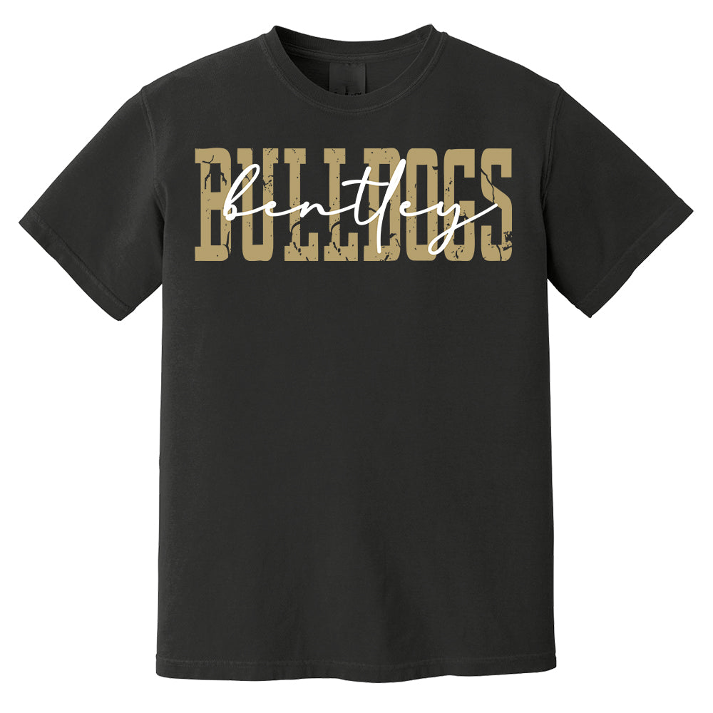 Favorite Team Shirt, Team Mascot Tshirt, School Team Comfort Colors Tee, Love Favorite Team Tee, School logo Tee, Custom Shirt, Custom Gift