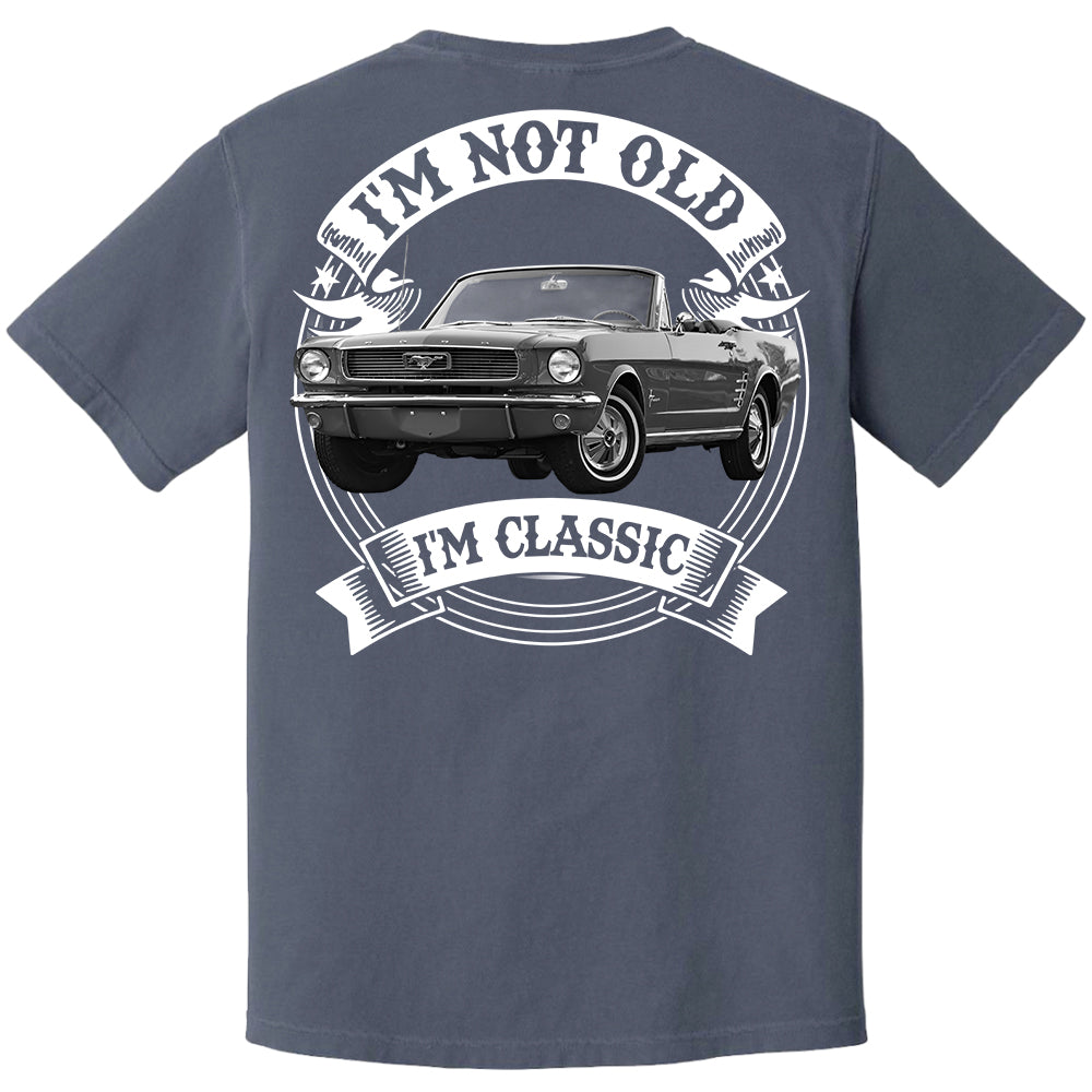Personalized Car's Photo Shirt -  Washed Tee Retro Shirt for Car Lovers Vrs2 A2110 Li29