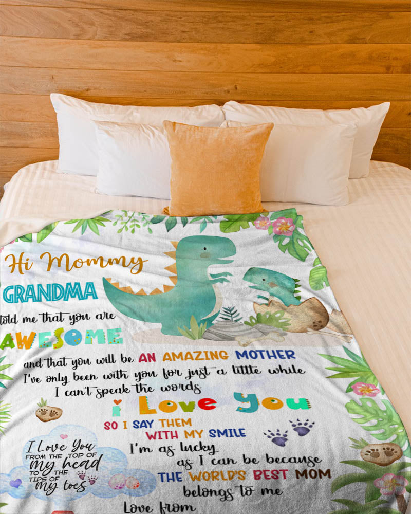 Personalized Hi Mommy Grandma Told Me That You Are Awesome Cute Dinosaur Blanket For New Mom