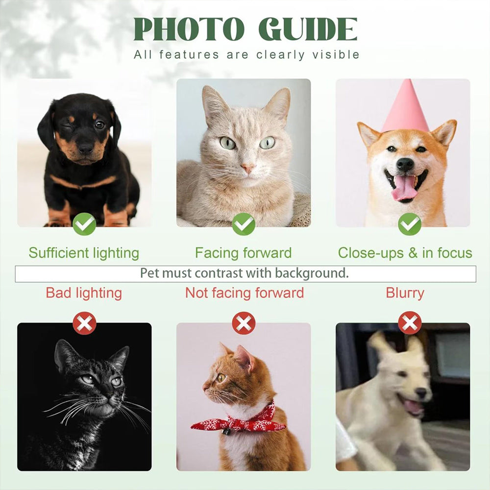 Personalized Dog Blanket with Name | Custom Photo Blanket for Dog | Custom Pet Photo Blanket | Personalized Dog Lover Gift | Gift for Pet