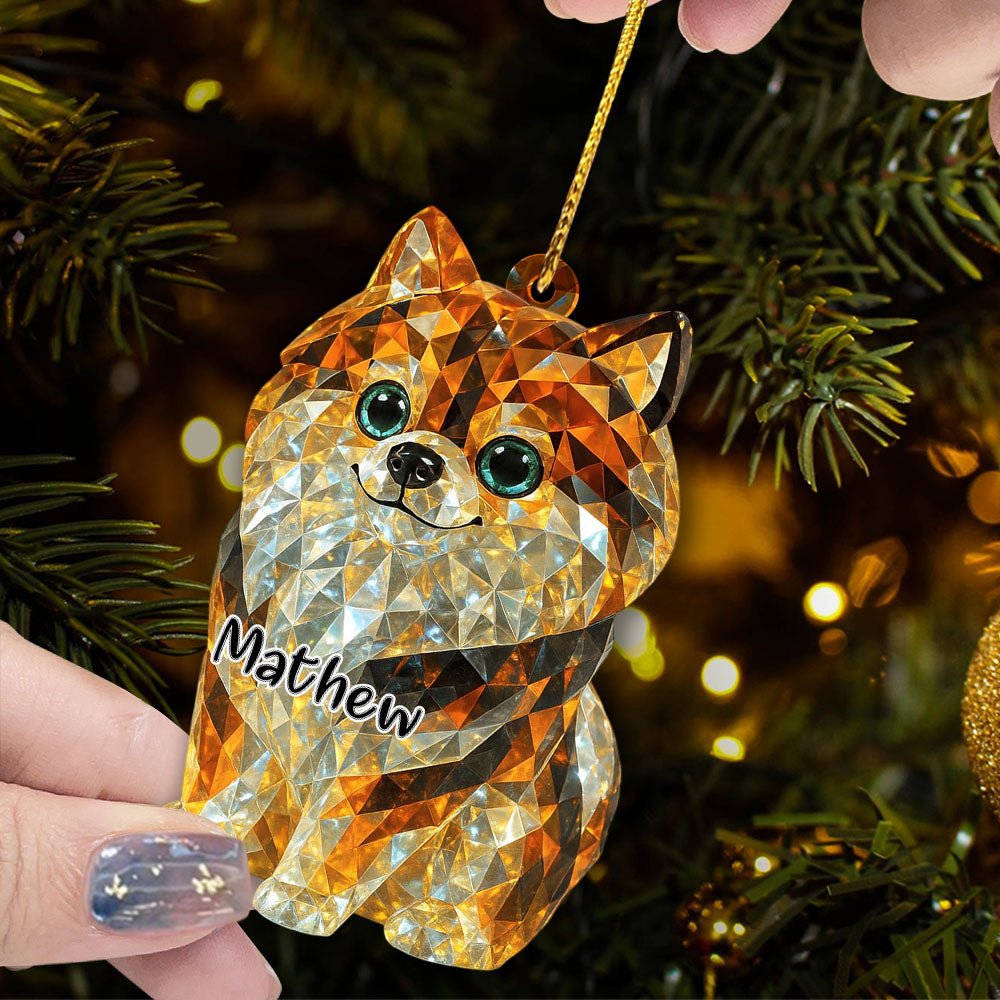Personalized 3D Crystal Effect Acrylic Ornament Gifts For Dog Lovers T1807 