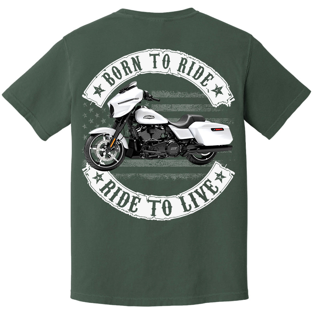 Born To Ride - Ride To Live - Personalized Upload Vehicle Photo For Biker A2110 VH01
