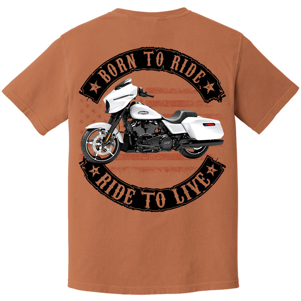 Born To Ride - Ride To Live - Personalized Upload Vehicle Photo For Biker A2110 VH01