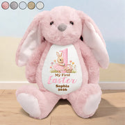Personalized Plush Bunny with Custom Name for Baby's First Easter, Pastel Keepsake, Unique Gift for New Baby Vr2 Pt99