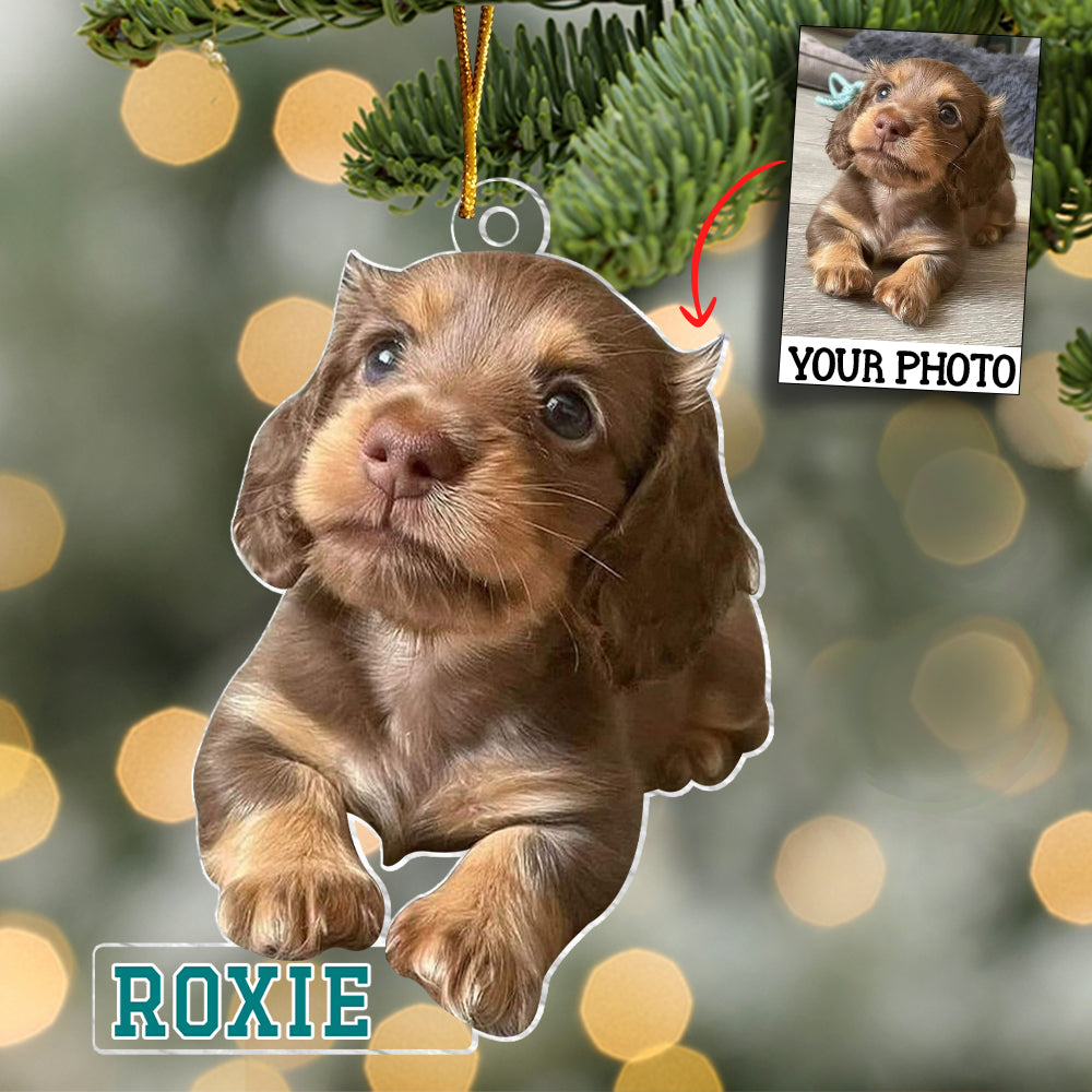 Customized Your Photo Ornament - Personalized Photo Mica Ornament - Christmas Gifts For Pet Lover