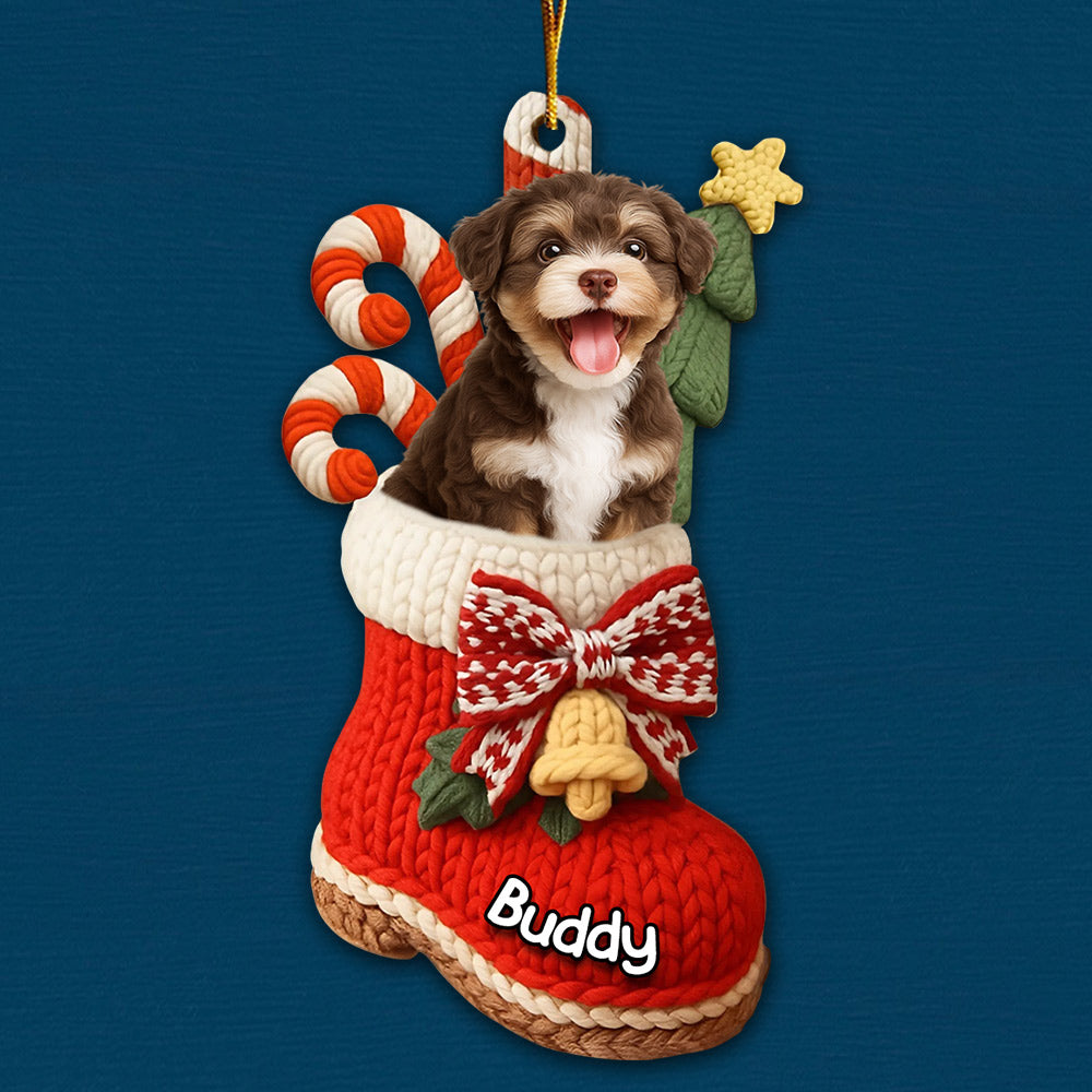 Custom Christmas Acrylic Ornament - Personalized Christmas Birthday Gifts For Dog Lovers T1807 Li29