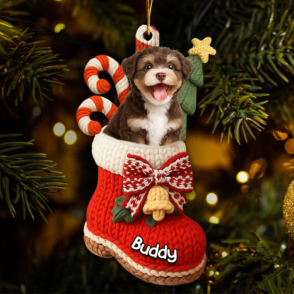 Custom Christmas Acrylic Ornament - Personalized Christmas Birthday Gifts For Dog Lovers T1807 Li29