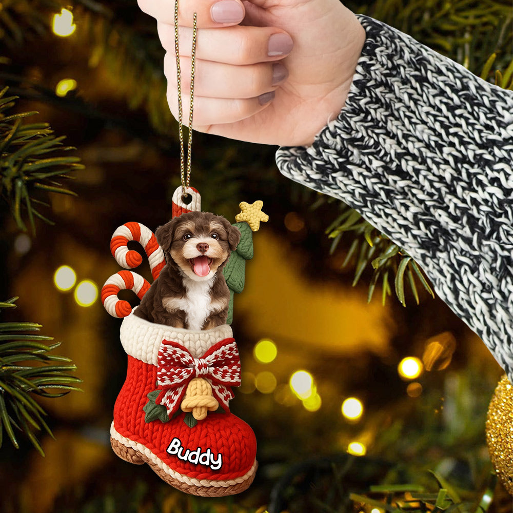 Custom Christmas Acrylic Ornament - Personalized Christmas Birthday Gifts For Dog Lovers T1807 Li29