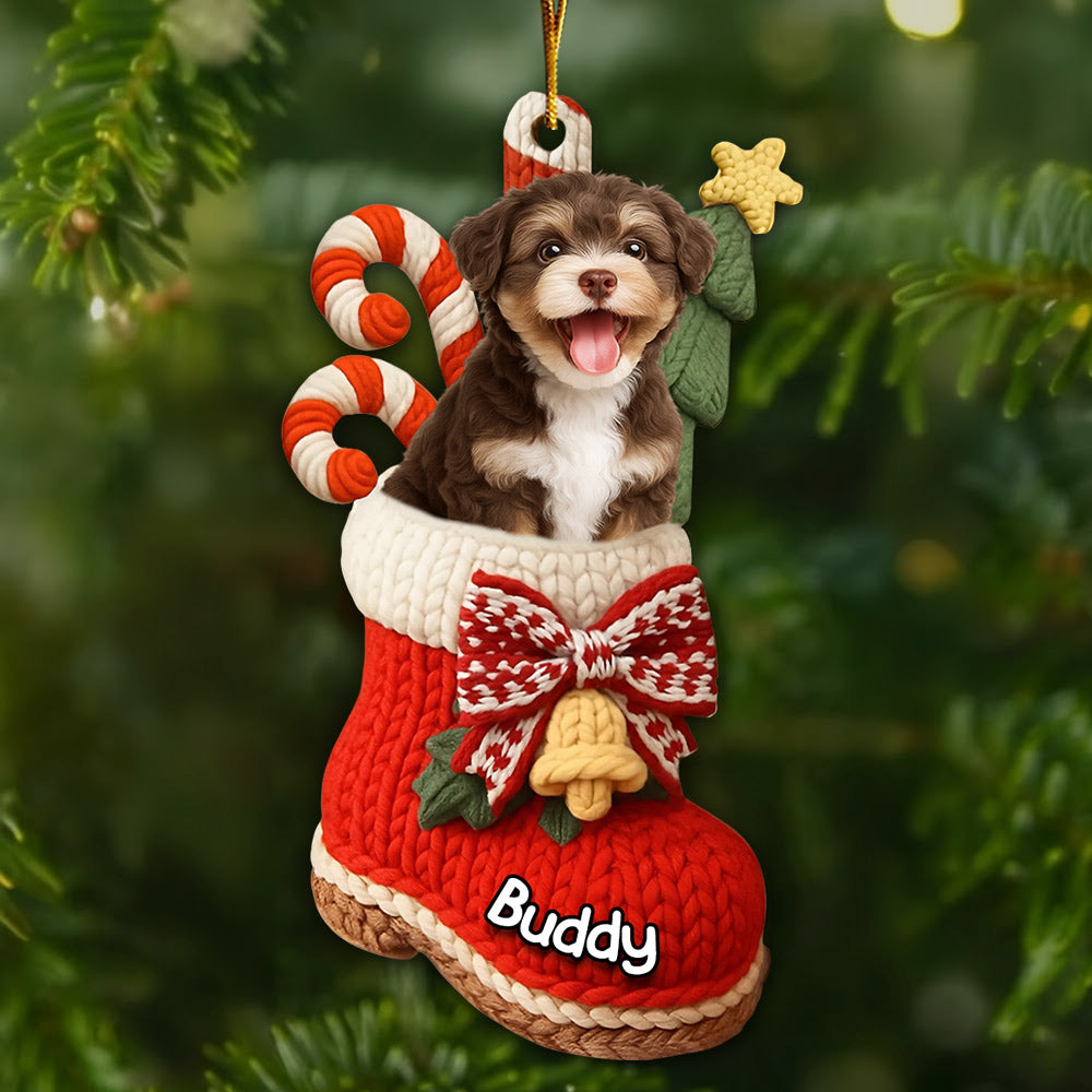 Custom Christmas Acrylic Ornament - Personalized Christmas Birthday Gifts For Dog Lovers T1807 Li29