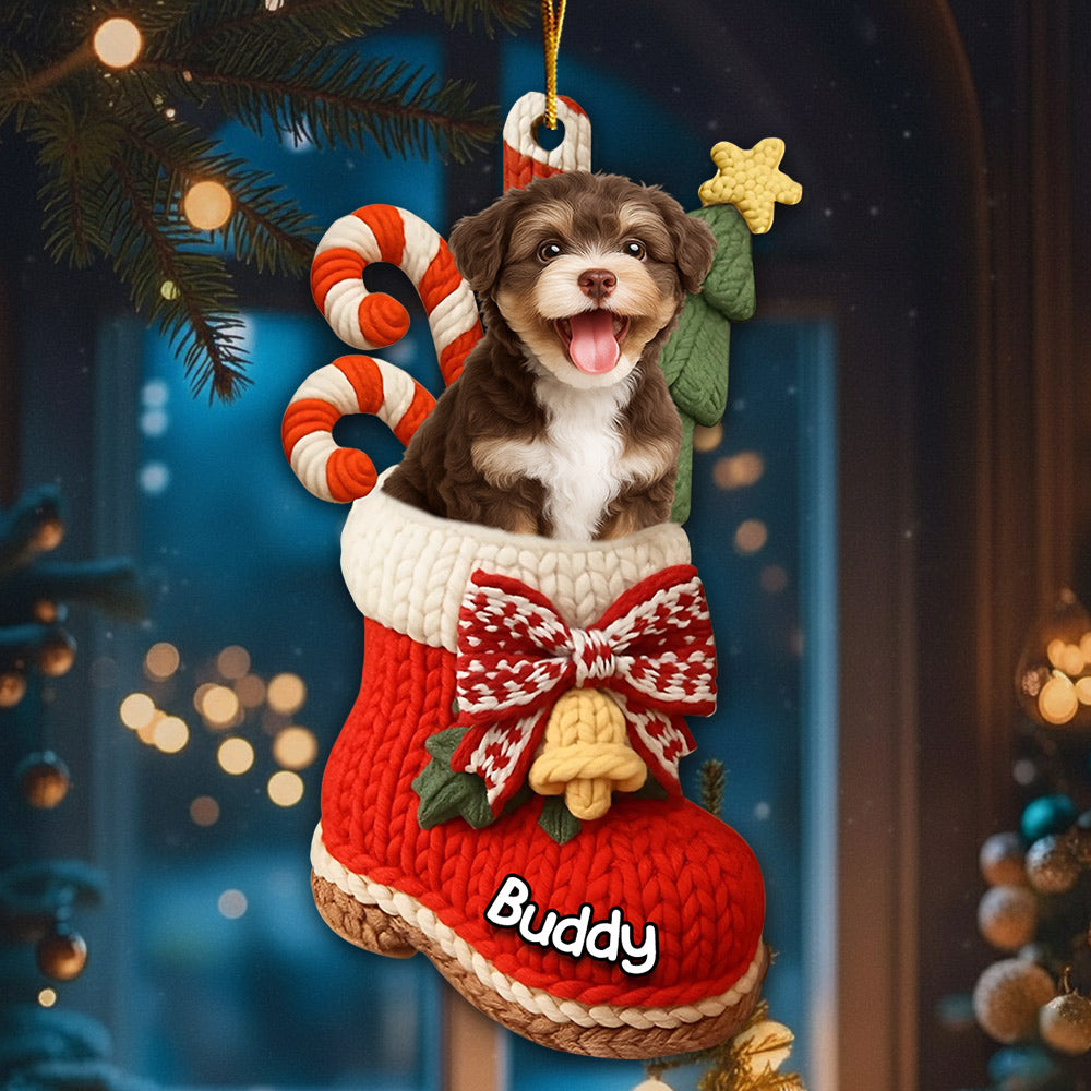 Custom Christmas Acrylic Ornament - Personalized Christmas Birthday Gifts For Dog Lovers T1807 Li29