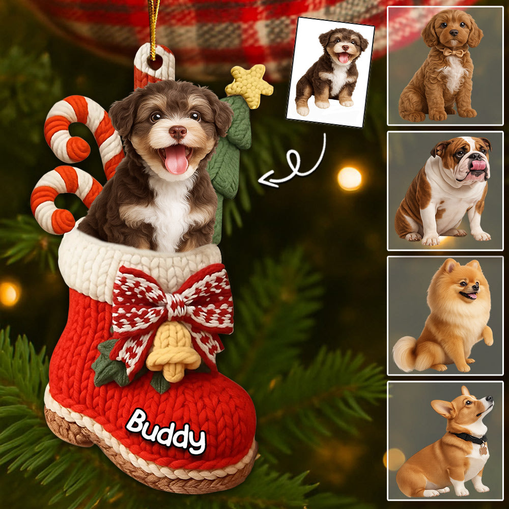 Custom Christmas Acrylic Ornament - Personalized Christmas Birthday Gifts For Dog Lovers T1807 Li29