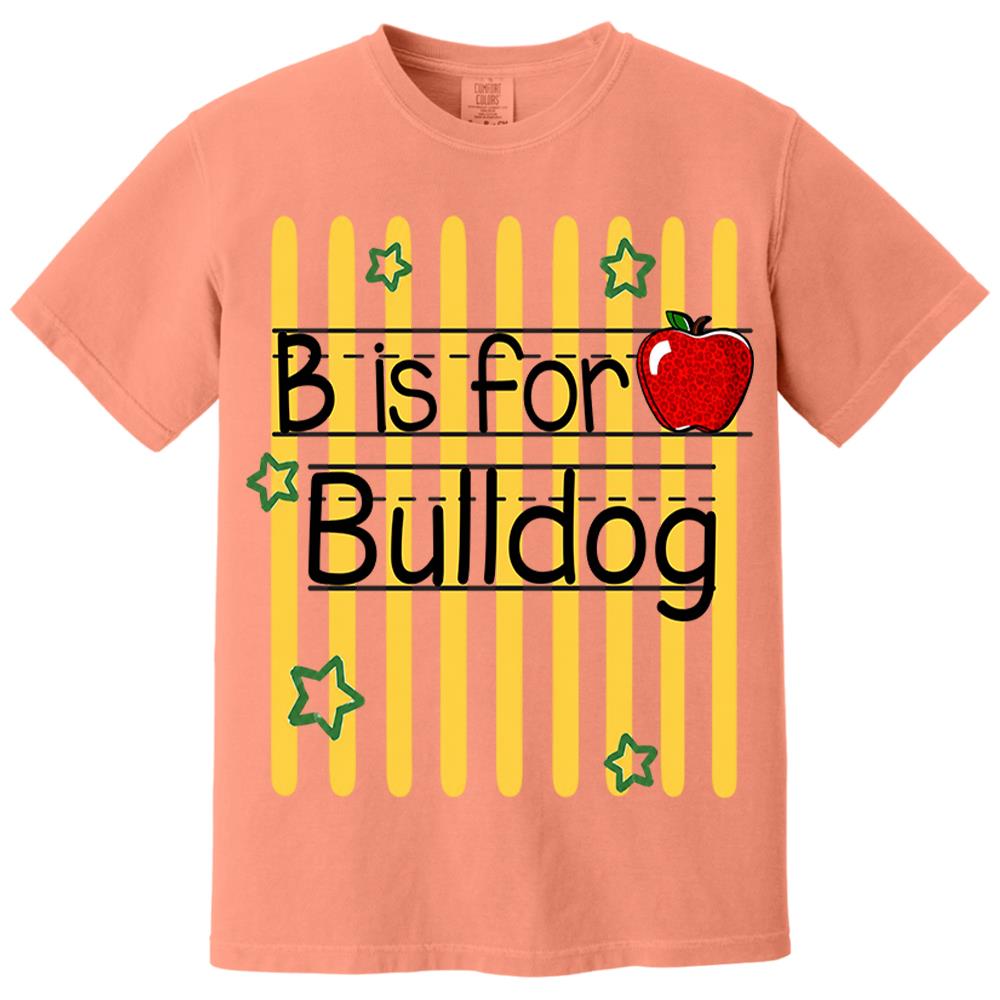 Nh00-Personalized Retro Stripe School Mascot Custom Apple Name Teacher T-Shirt, Custom Gifts For Teacher Nh00-01.08.2026