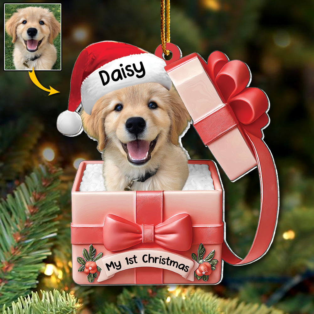 Dog Inside Gift Box - Personalized Dog Christmas Acrylic Ornament - Custom Pet Ornament A2110