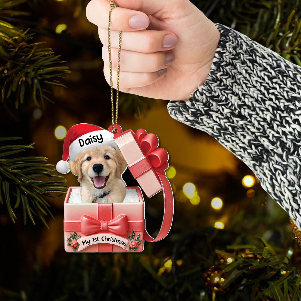 Dog Inside Gift Box - Personalized Dog Christmas Acrylic Ornament - Custom Pet Ornament A2110