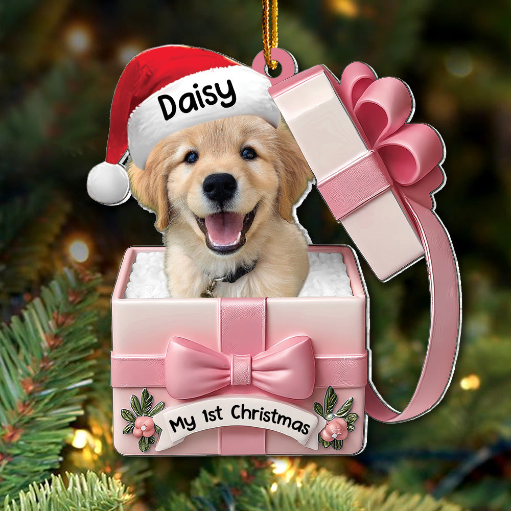 Dog Inside Gift Box - Personalized Dog Christmas Acrylic Ornament - Custom Pet Ornament A2110
