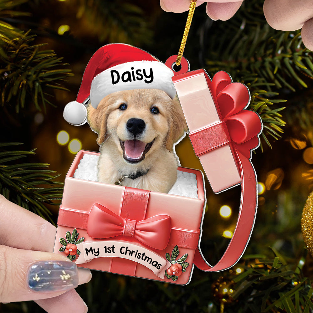 Dog Inside Gift Box - Personalized Dog Christmas Acrylic Ornament - Custom Pet Ornament A2110