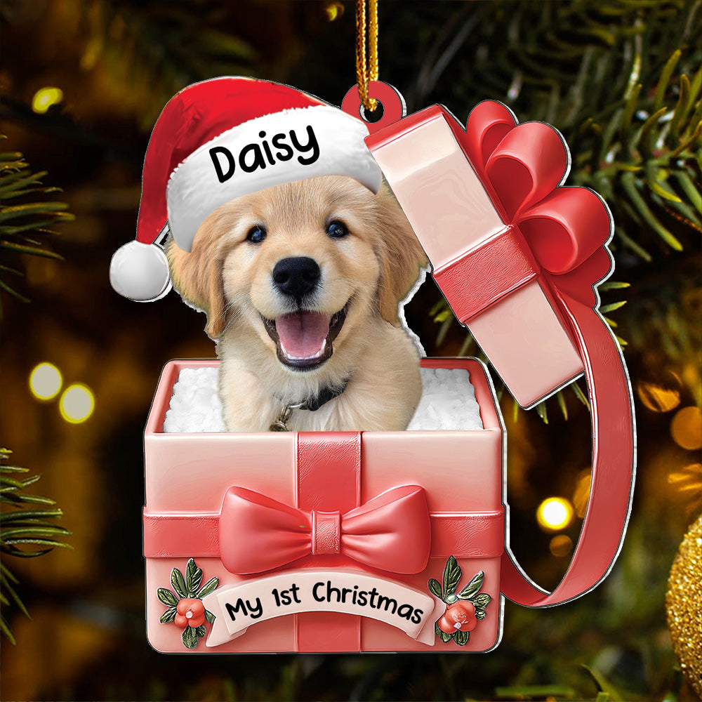 Dog Inside Gift Box - Personalized Dog Christmas Acrylic Ornament - Custom Pet Ornament A2110
