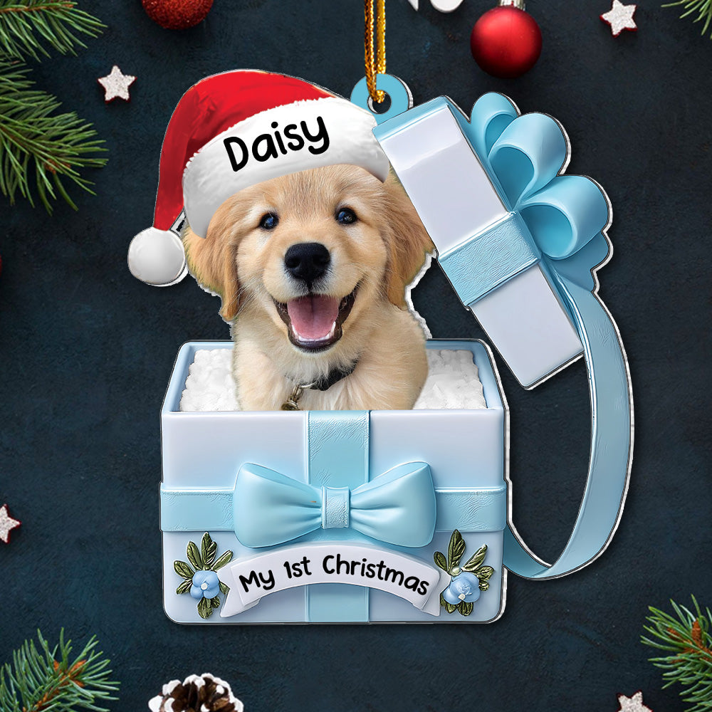 Dog Inside Gift Box - Personalized Dog Christmas Acrylic Ornament - Custom Pet Ornament A2110