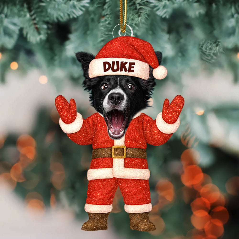 Ornament Christmas Custom Face For Pet Loves Funny - Personalized Acrylic Photo Ornament T1807 Hv01