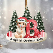 Baby Beside Christmas Bauble 3D Effect Baby's First Christmas Personalized Acrylic Flat Ornament Na02 Do99