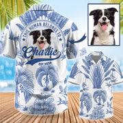 This Human Belongs To - Dog Lovers Toile De Jouy Style Custom Photo Dog - Personalized Hawaiian Shirt T1807