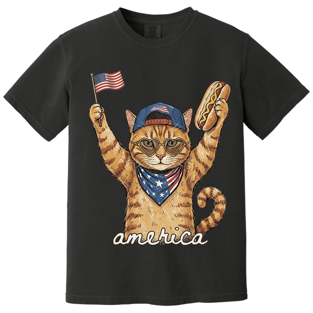 Custom Photo Pet, Patriotic Cat Shirt, Cat Lover Gift, 4th Of July Shirt, America Tee, Independence Day Graphic Nh00