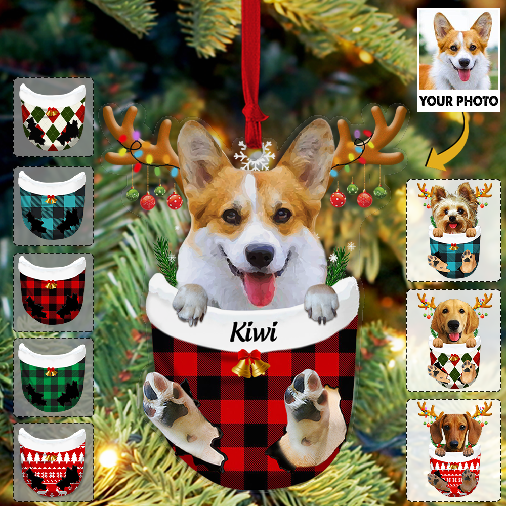 Custom Ornament from Pet Photo - Dog Lovers Pet Lover Gifts - Dog In Snow Pocket Christmas Ornament