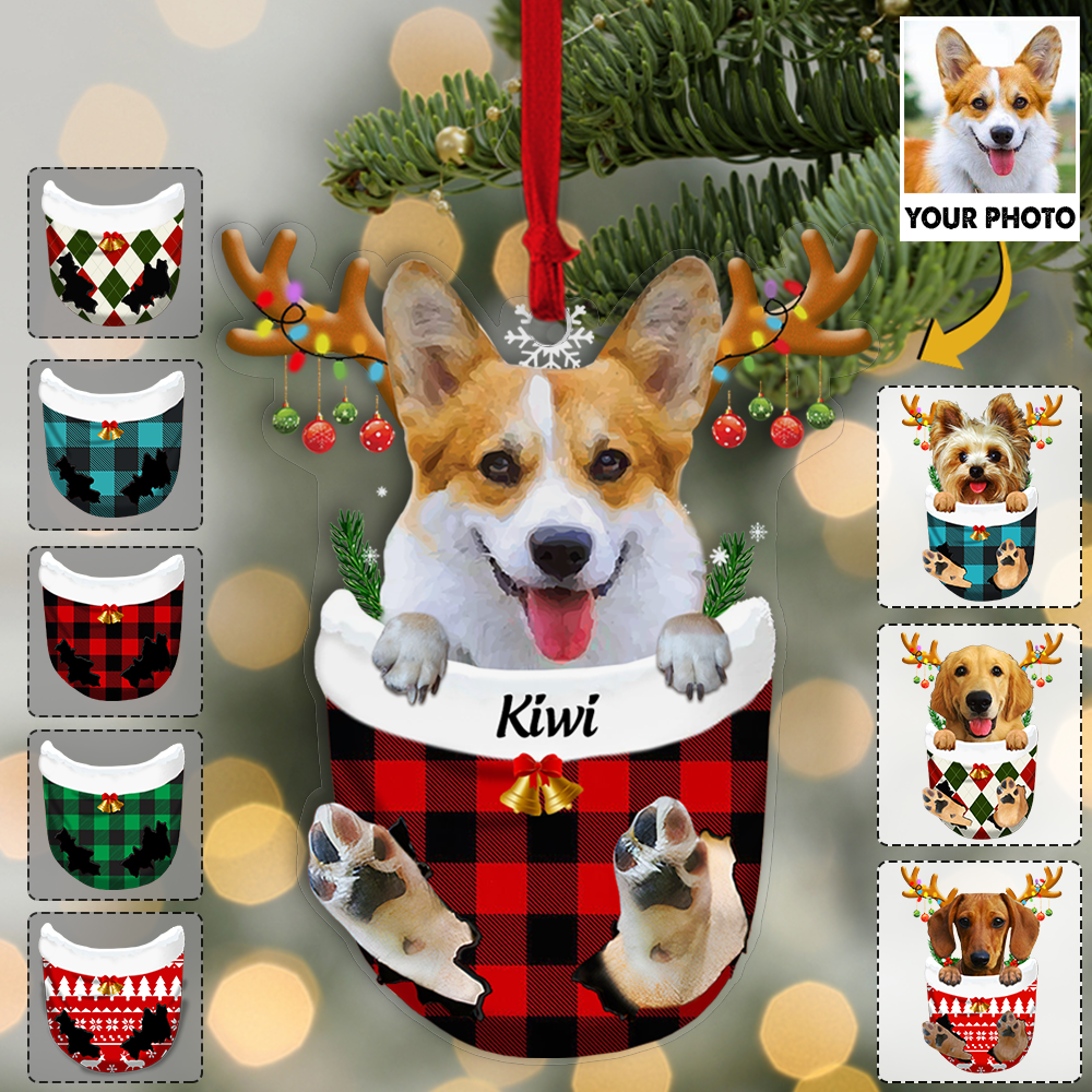 Custom Ornament from Pet Photo - Dog Lovers Pet Lover Gifts - Dog In Snow Pocket Christmas Ornament