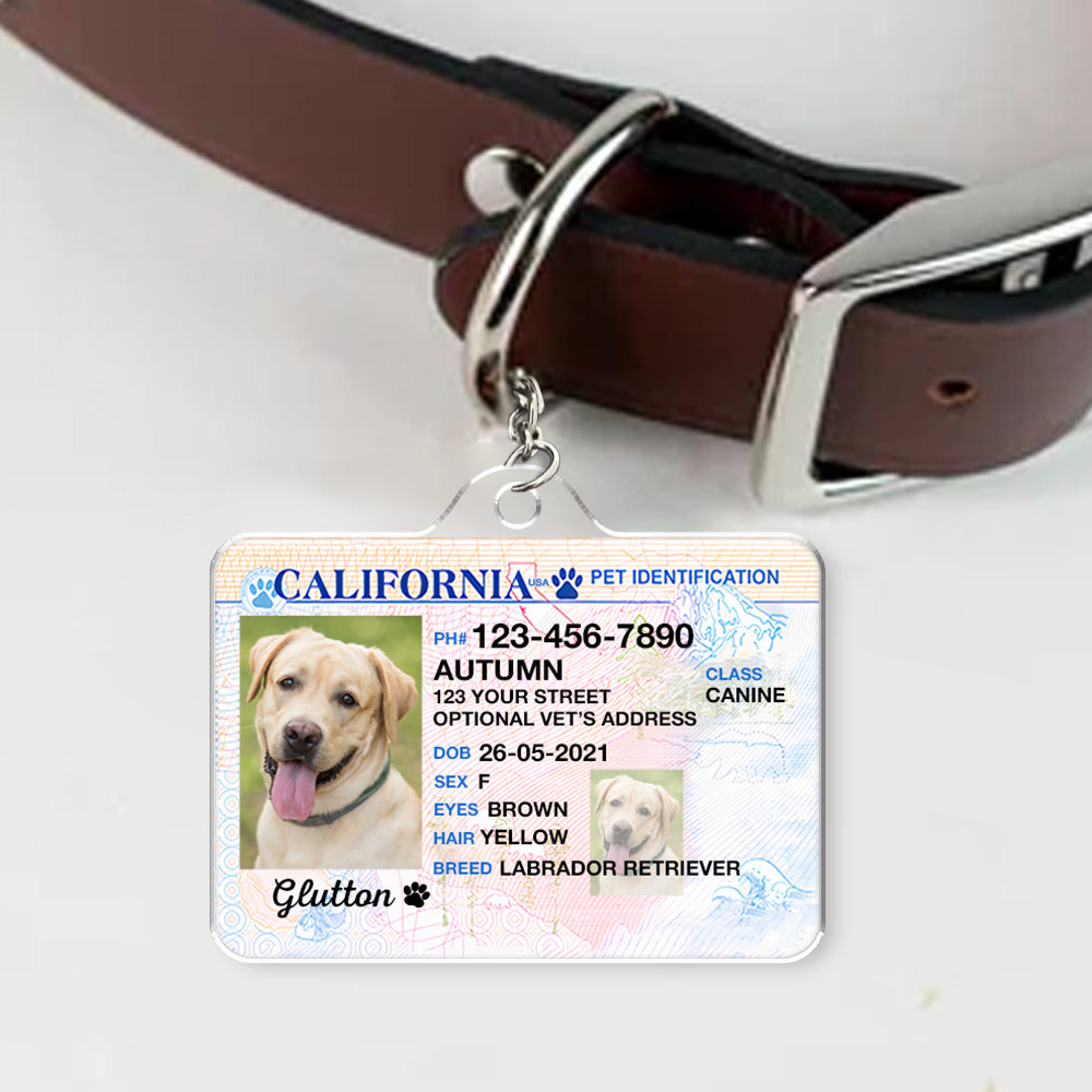 Custom Photo Pet ID Tags - Drivers License - California