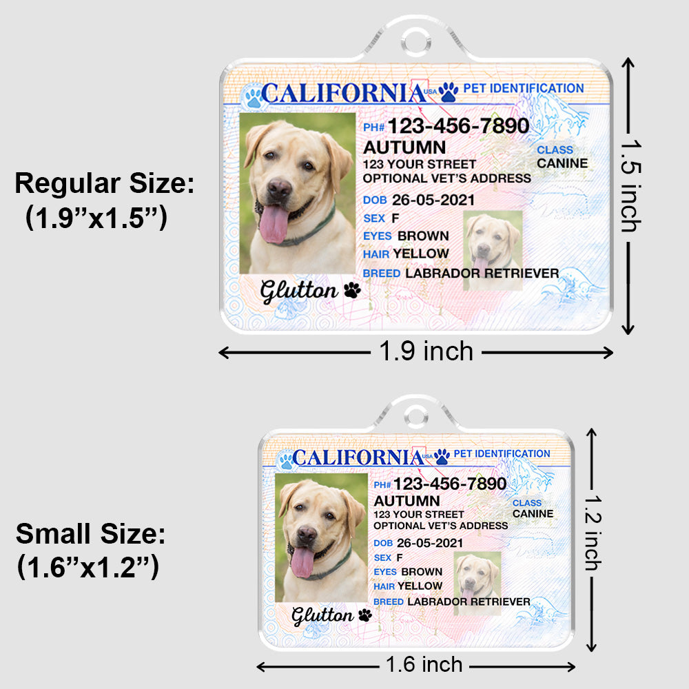 Custom Photo Pet ID Tags - Drivers License - California