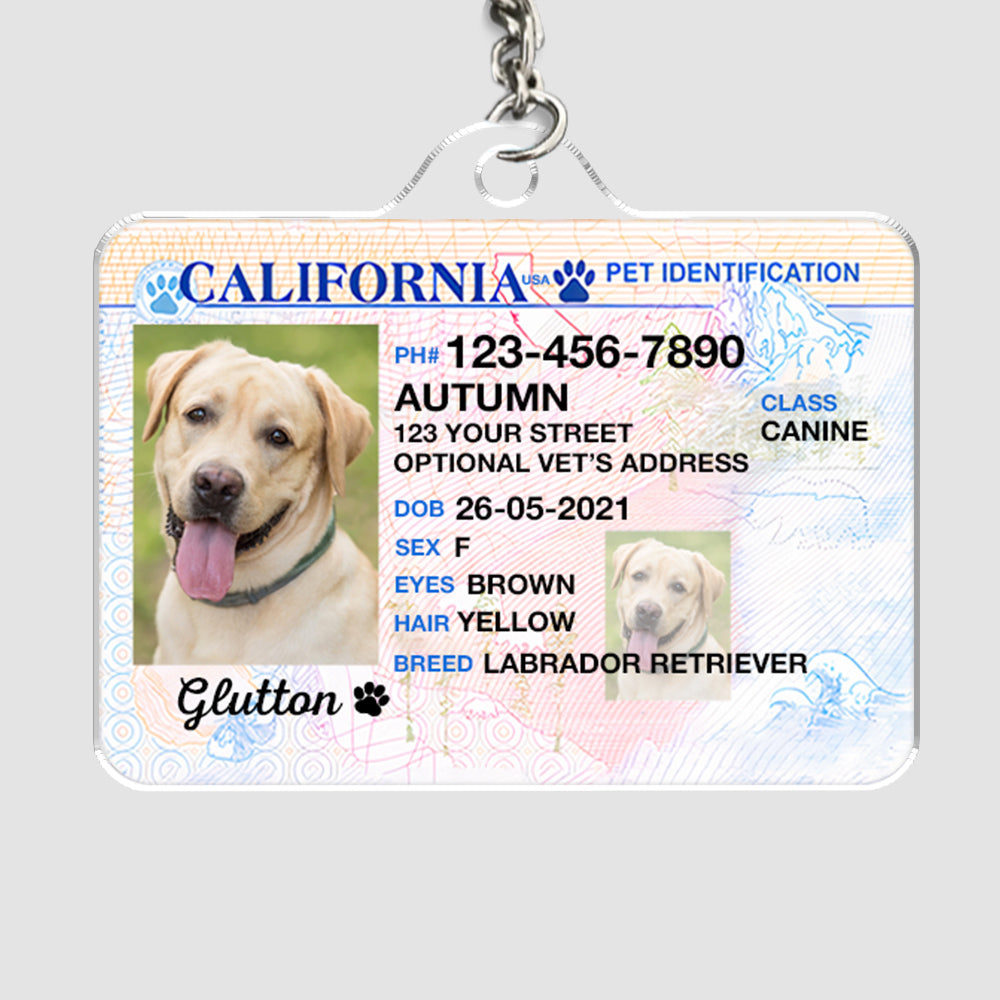 Custom Photo Pet ID Tags - Drivers License - California