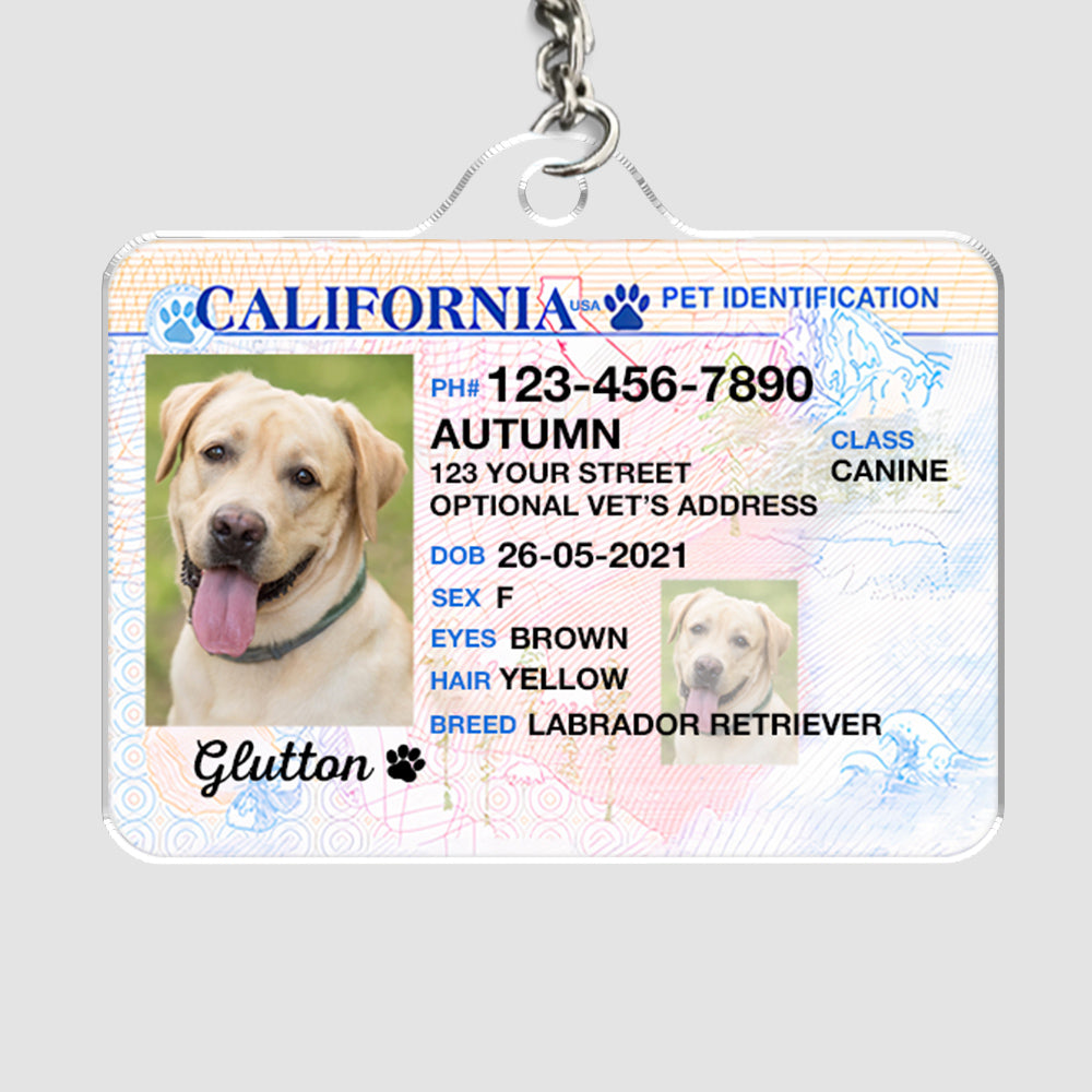 Pet ID Tags - Drivers License - California