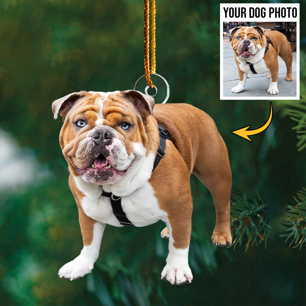 Acrylic Ornament Upload Photo Personalized Christmas Gift For Dog Lover