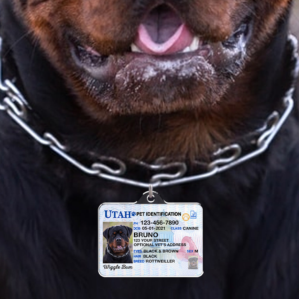Custom Photo Pet ID Tags - Drivers License - Utah