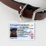 Custom Photo Pet ID Tags - Drivers License - Utah