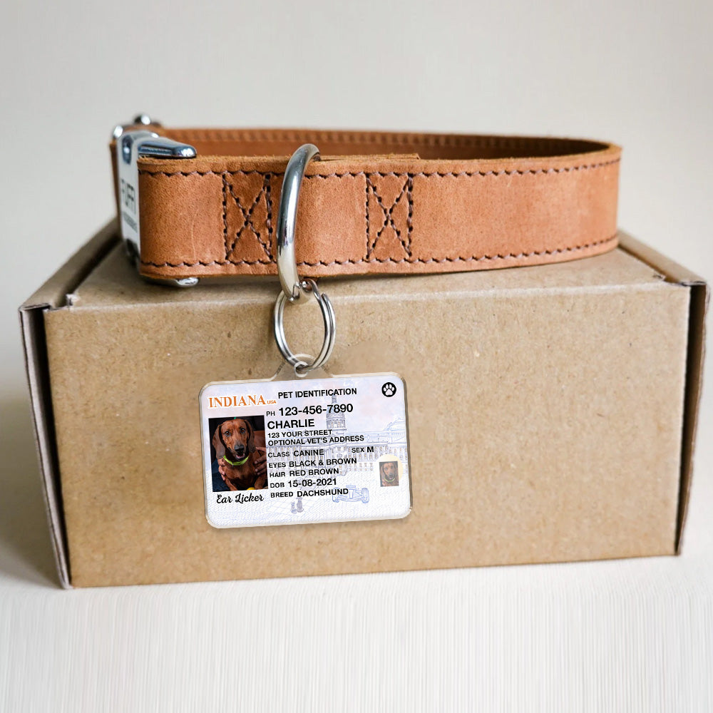 Custom Photo Pet ID Tags - Drivers License - Indiana