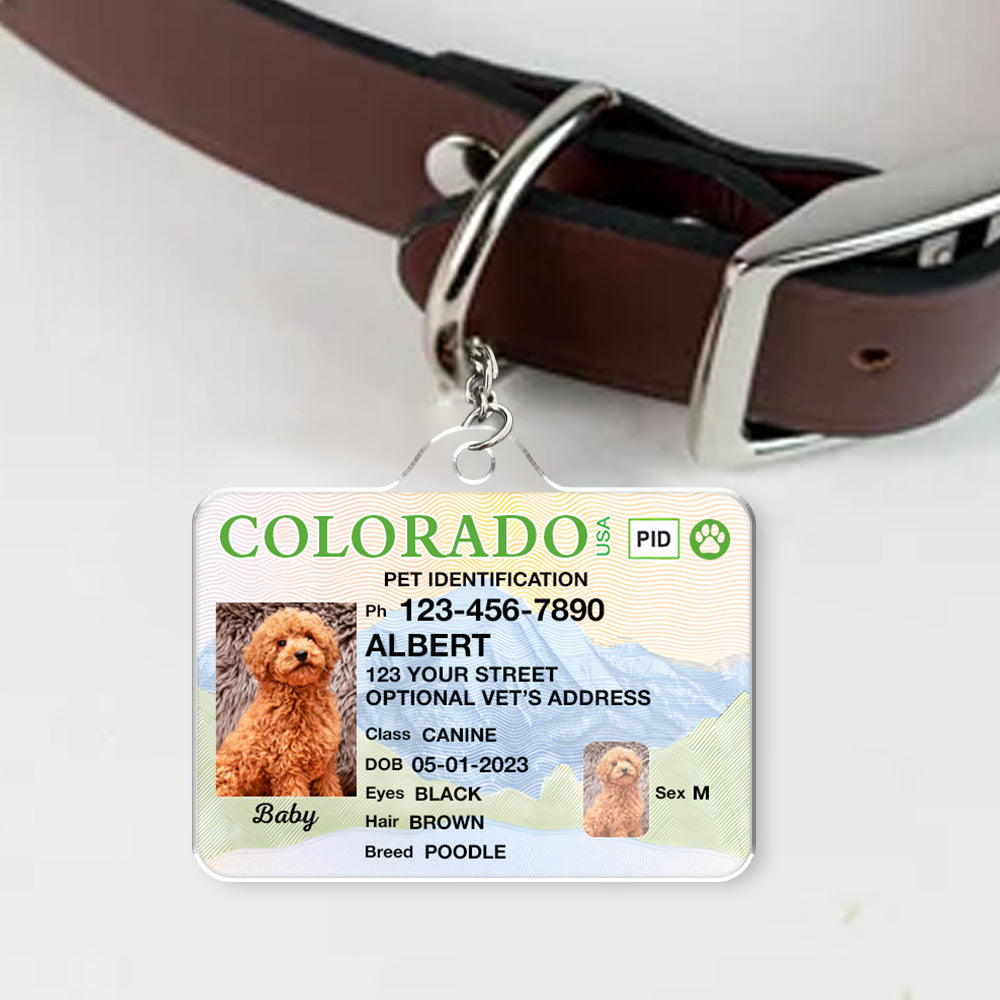 Custom Photo Pet ID Tags - Drivers License - Colorado